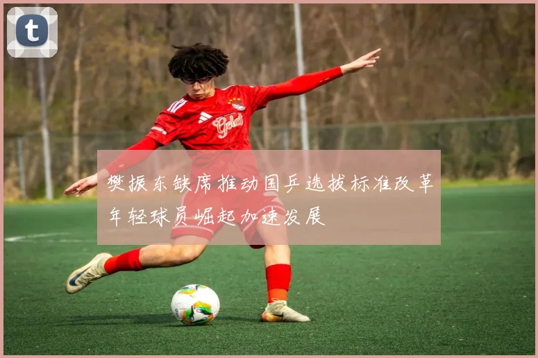 樊振东缺席推动国乒选拔标准改革年轻球员崛起加速发展