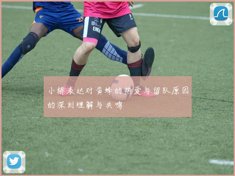 小桥表达对黄蜂的热爱与留队原因的深刻理解与共鸣