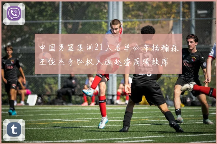 中国男篮集训21人名单公布杨瀚森王俊杰李弘权入选赵睿周琦缺席